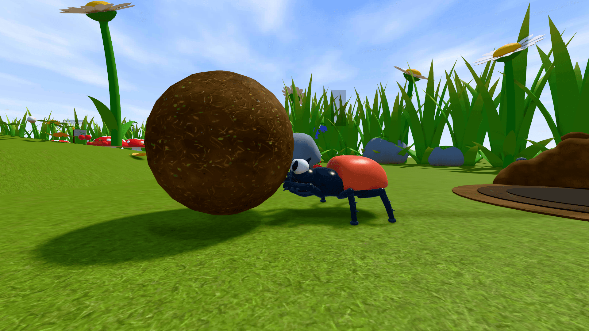 Dung Ball Derby