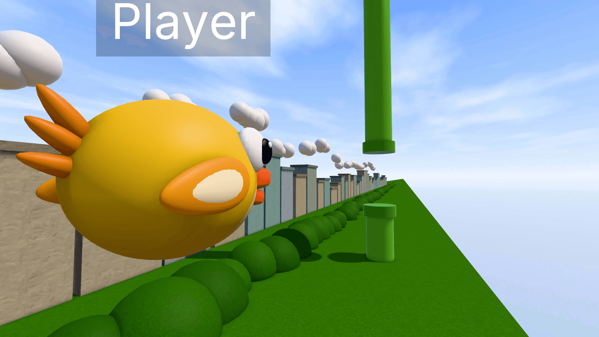 Flappy Race